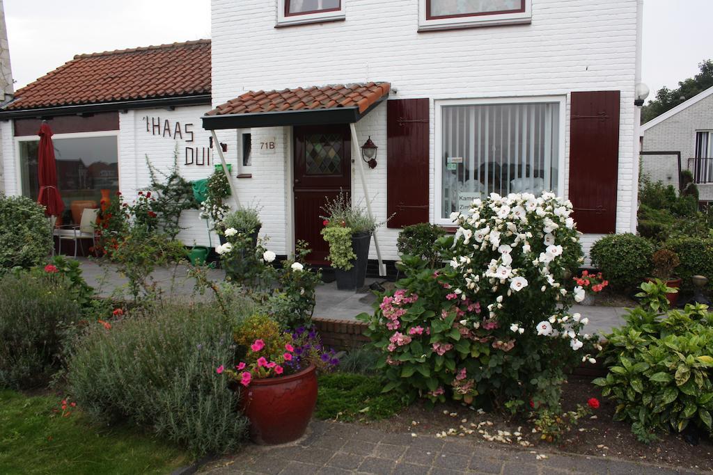 Villa 'T Haasduin Wijk aan Zee Exterior foto